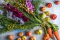 Unusial bouquet of gladiole flowers, field plants, carrots Royalty Free Stock Photo