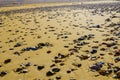 Unusual Africa, Morocco, Atlantic Ocean, beach sand and pebbles