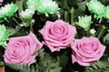 Unusual Beautiful tender pink and green flowers background Royalty Free Stock Photo