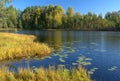 Unusual beauty of the lake