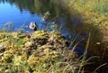 Unusual beauty of the lake