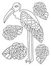 Unusual bird with long legs and flowers around coloring page for adults vector illustration