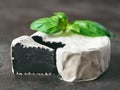 Unusual black camembert cheese with white mildew