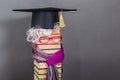 Unusual bright elderly woman is a teacher or professor