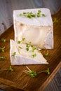 Unusual Camembert cheese with cube shape and spilled green cress around