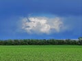 Unusual cloud against the blue sky.