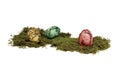 Unusual colourful vintage Easter eggs lying on moss. Royalty Free Stock Photo