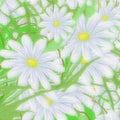 Unusual daisies