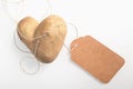 Unusual double heart-shaped fresh potato Royalty Free Stock Photo