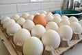 Unusual Egg Among Ordinary Eggs Royalty Free Stock Photo