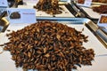 Unusual food - fried crickets. A slide of fried insects lies on a metal tray. Royalty Free Stock Photo