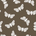Unusual hipster seamless pattern with clothes moth. Vector background.