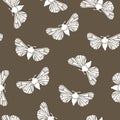Unusual hipster seamless pattern with clothes moth. Vector background. Royalty Free Stock Photo