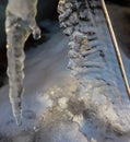 Unusual intricate icicles with sun highlights. You can see a beautiful face in profile Royalty Free Stock Photo