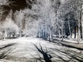 Unusual landscape, surreal infrared photo