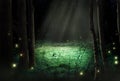 Unusual light in the middle of a fantasy night forest. Royalty Free Stock Photo