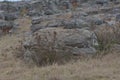 Unusual and mistrial rock formations.