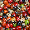 Unusual natural background from different ladybugs, cute insects, nature concept,