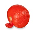 Unusual old tomato Royalty Free Stock Photo