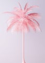Unusual Pastel Pink Palm backgroud