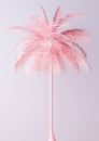 Unusual Pastel Pink Palm backgroud Royalty Free Stock Photo