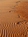 Unusual sand dune pattern details