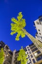 Unusual perspective of block of flats Royalty Free Stock Photo