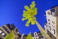 Unusual perspective of block of flats Royalty Free Stock Photo