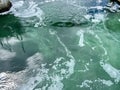 an unusual picture of bubbling water in funnel is being pulled down as if the Bermuda Triangle Green Water it seems that