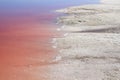 Unusual pink color salty water with large salt crystals Royalty Free Stock Photo