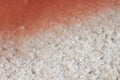 Unusual pink color salty water with large salt crystals Royalty Free Stock Photo