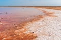 Unusual pink salt lake in the Crimea. Incredible reflection on the water surface