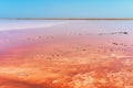 Unusual pink salt lake in the Crimea. Incredible reflection on the water surface