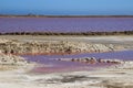 Unusual pink salt lake in Namibia with a salt factory