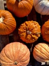 Unusual pumpkin assortment