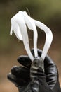 Unusual Rare Frost Flowers - Ice Flowers - Ice Fringes or Filaments