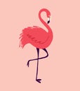 An unusual red flamingo bird. A bizarre fairy tale character bird Royalty Free Stock Photo