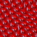 Unusual red leather nipple design upholstery