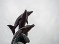 Unusual sculpture of dolphins against the sky. Beautiful mammal statue Royalty Free Stock Photo