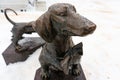 Unusual sculptures and monuments of St. Petersburg. Bench Dachshund.