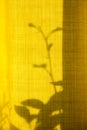 Unusual shadows and silhouettes from plants on yellow textiles. Trendy abstract background. Royalty Free Stock Photo