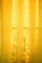 Unusual shadows and silhouettes from plants on yellow textiles. Royalty Free Stock Photo