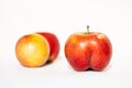 Unusual shape of bright ripe red apple in the shape of an ass in the light of the sun on a white background with two usual apples