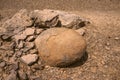 Unusual shape rock