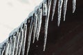 Unusual sparkling icicles Royalty Free Stock Photo