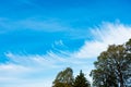 Unusual, Cloud Formation with Chemtrails, Contrails and Trees Royalty Free Stock Photo