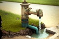 from unusual tap fouling with growths, water flows to ground in park