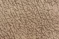 Unusual textile background with mottled surface on light beige colors. Royalty Free Stock Photo