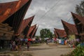 Unusual traditional houses with boat roofs of the Batak people on the island of Sumatra, Indonesia. The traditional architecture o