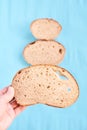 Unusual tree. Three slices bread. Blue background Royalty Free Stock Photo